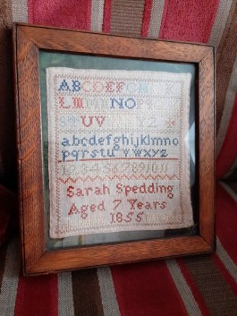 Patterns of Migration