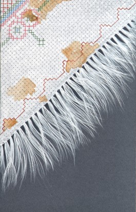 Patterns of Migration