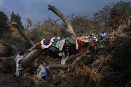 Patterns of Migration