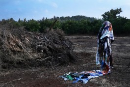 Patterns of Migration