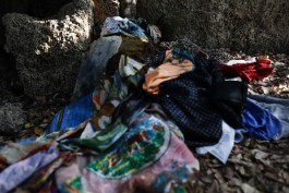 Patterns of Migration