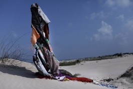 Patterns of Migration