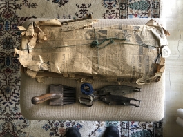 Patterns of Migration