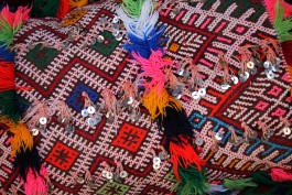 Patterns of Migration