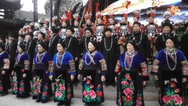 Patterns of Migration