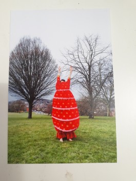 Patterns of Migration