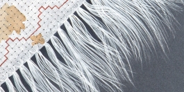 Patterns of Migration