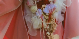 Patterns of Migration