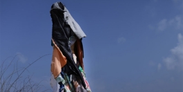 Patterns of Migration