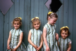 Patterns of Migration