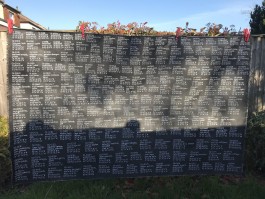 Patterns of Migration