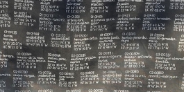 Patterns of Migration