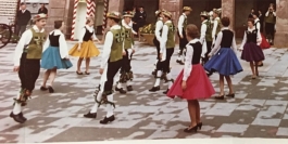 Patterns of Migration