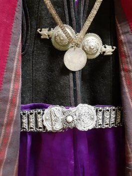 Patterns of Migration